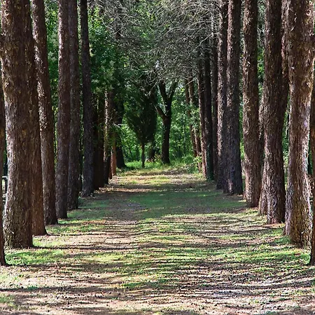 Il Pornelleto - Alari Farm stay Cetona