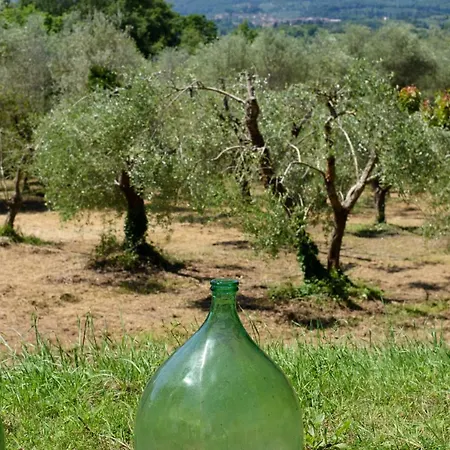 Il Pornelleto - Alari * Cetona